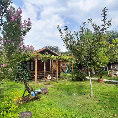 מרטווילי Tiny Houses Genacvale מראה חיצוני תמונה