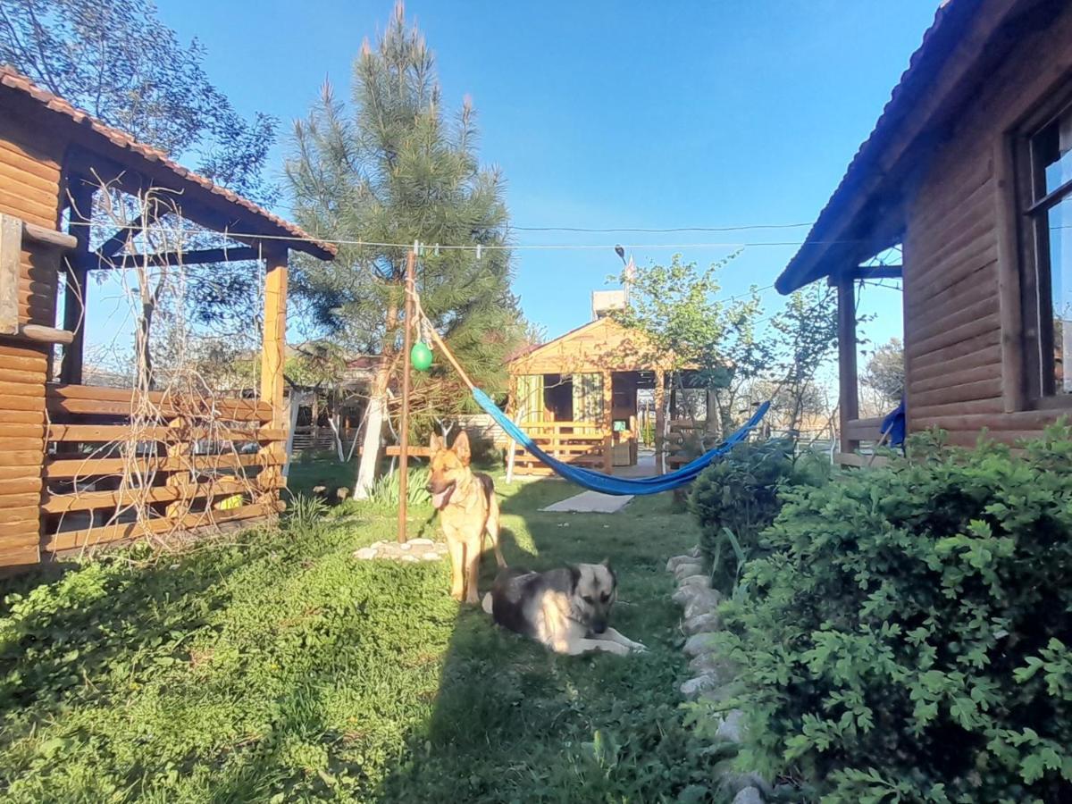 מרטווילי Tiny Houses Genacvale מראה חיצוני תמונה