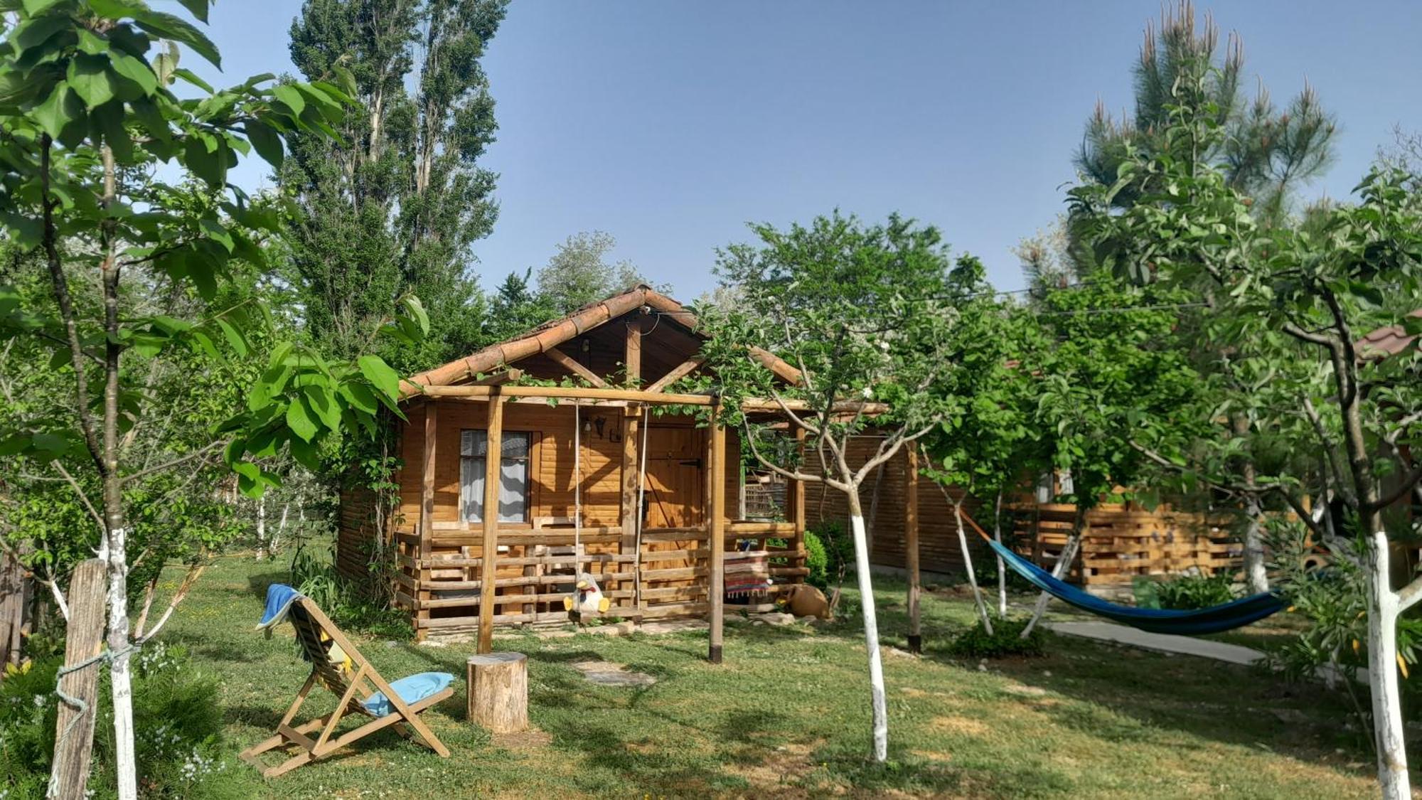 מרטווילי Tiny Houses Genacvale מראה חיצוני תמונה