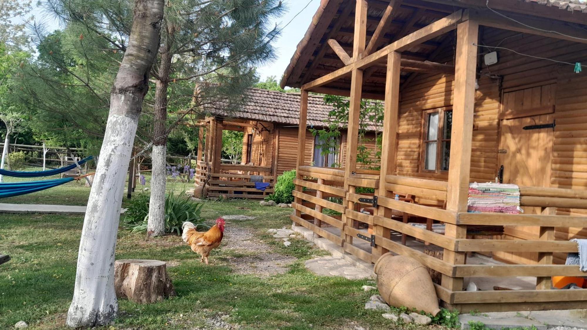 מרטווילי Tiny Houses Genacvale מראה חיצוני תמונה