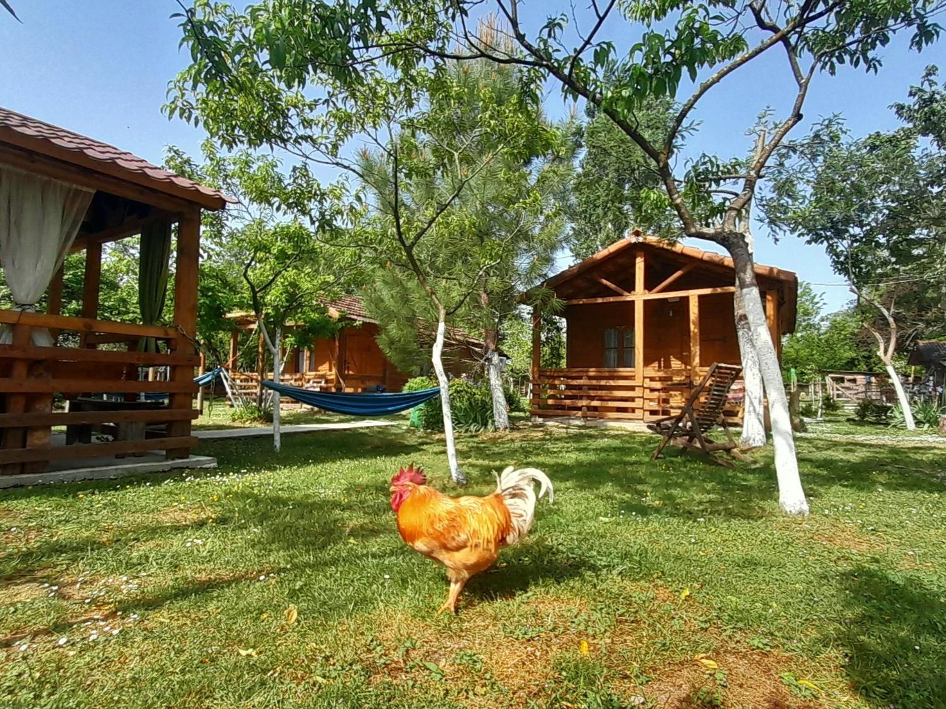 מרטווילי Tiny Houses Genacvale חדר תמונה
