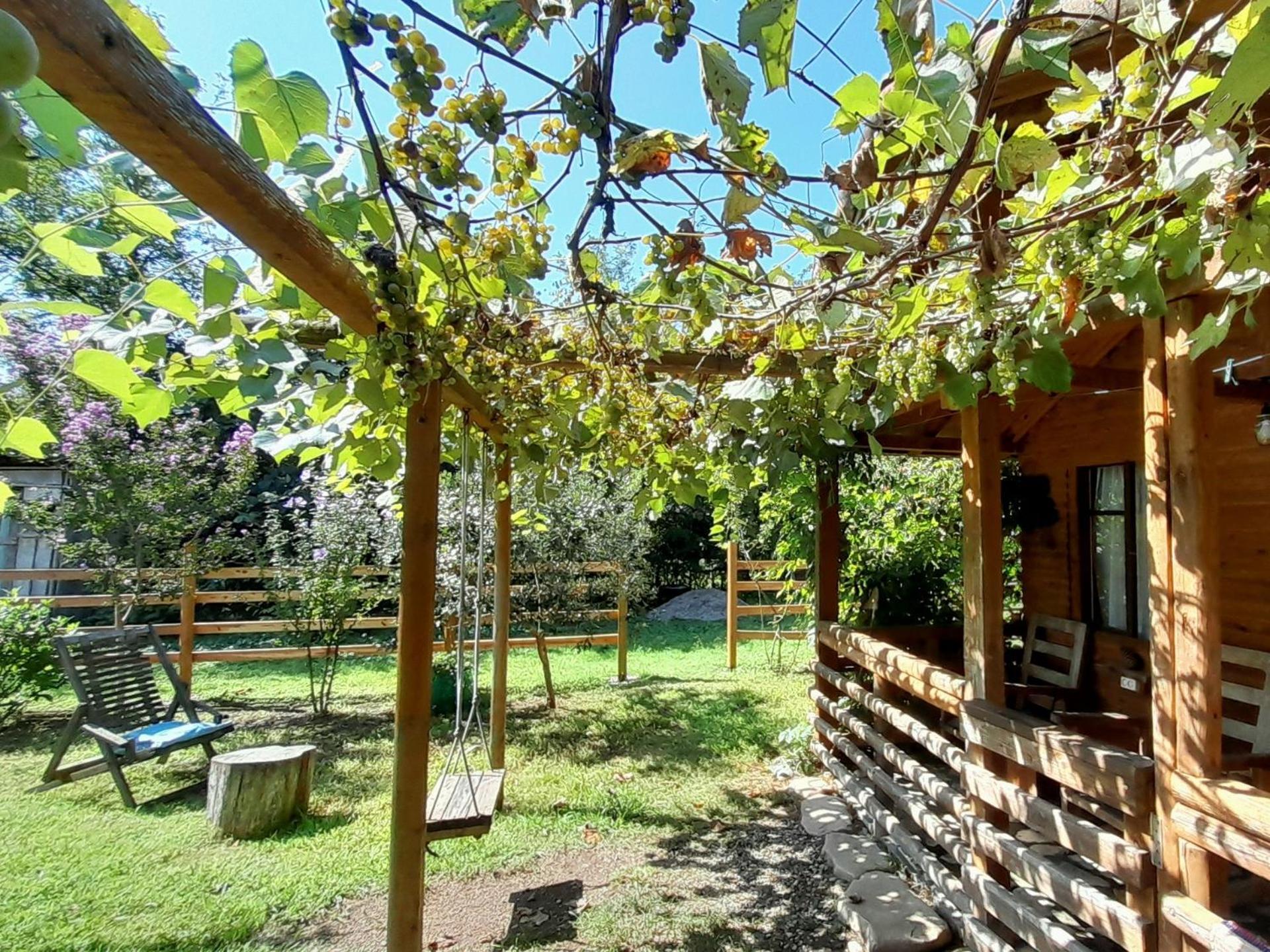 מרטווילי Tiny Houses Genacvale מראה חיצוני תמונה