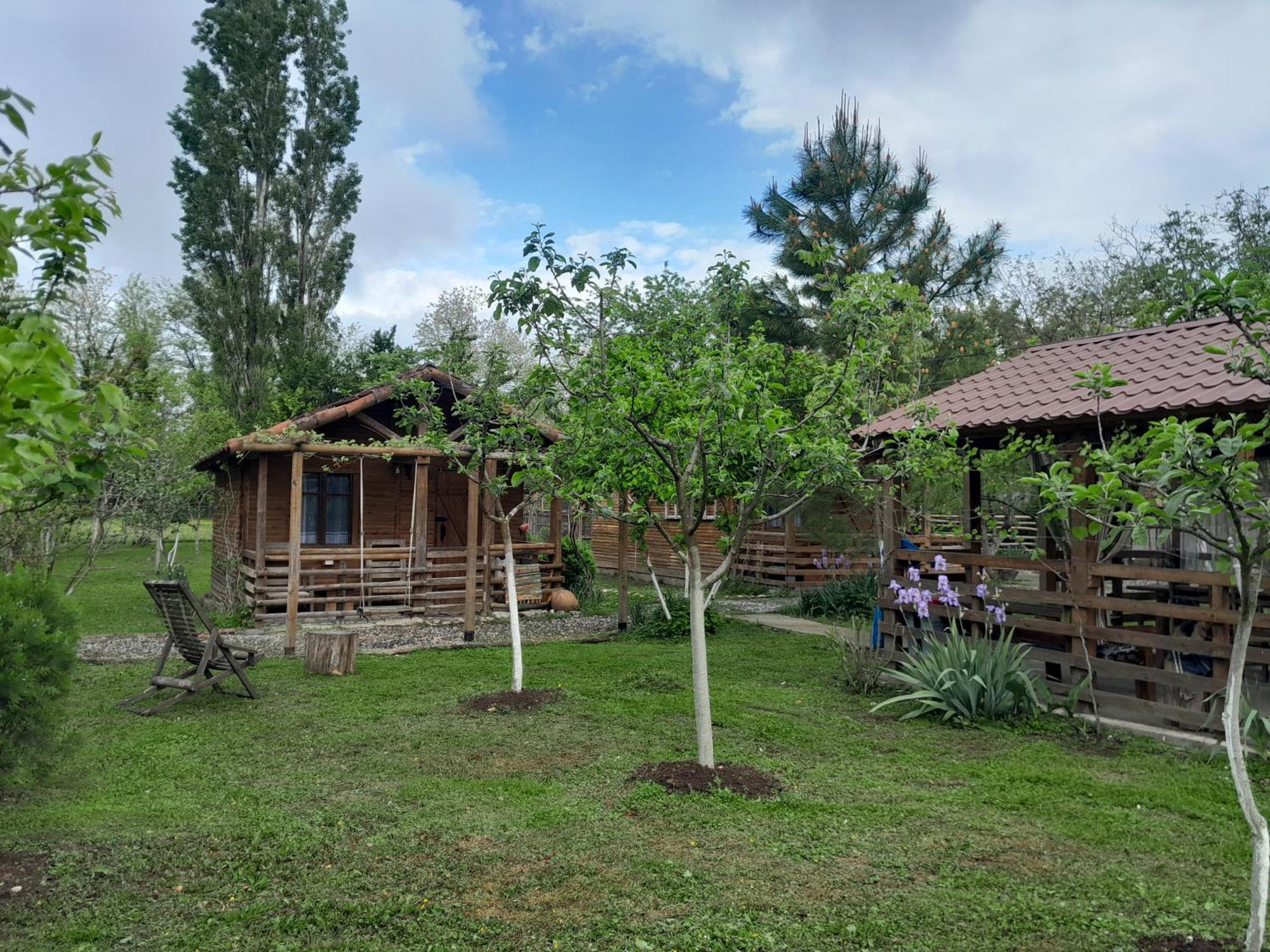 מרטווילי Tiny Houses Genacvale מראה חיצוני תמונה
